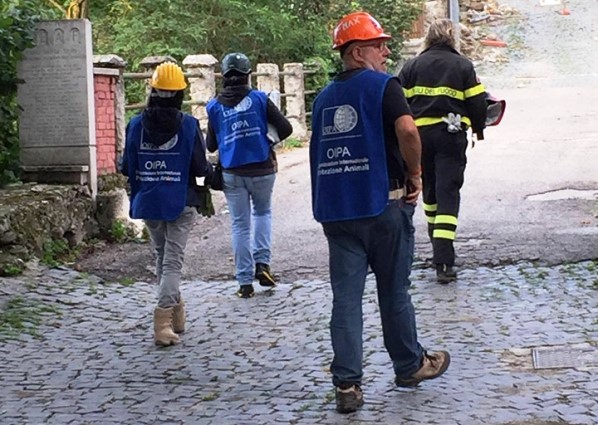 Massimo Toniolo OIPA