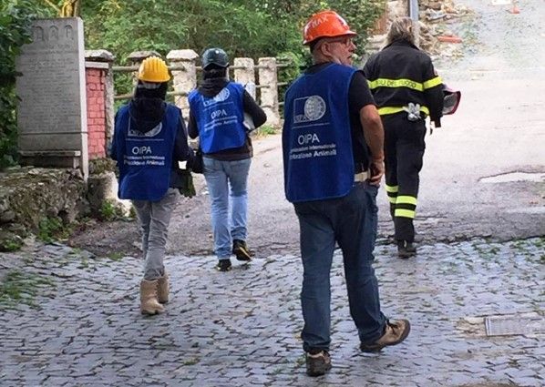 Massimo Toniolo OIPA